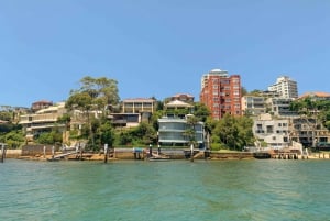Sydney: Secrets Cruise med frokost på Famous Yacht Club