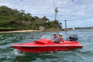 Sídney: Aventura en barco sin conductor