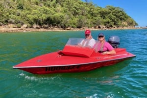 Sídney: Aventura en barco sin conductor