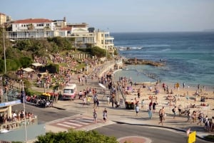 Sydney: Tour guidato della città in autobus con Bondi Beach