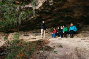 Sydney: tour per piccoli gruppi alla scoperta della fauna selvatica e delle escursioni nel bush delle Blue Mountains