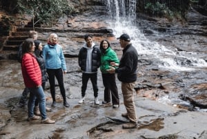 Sydney: tour per piccoli gruppi alla scoperta della fauna selvatica e delle escursioni nel bush delle Blue Mountains