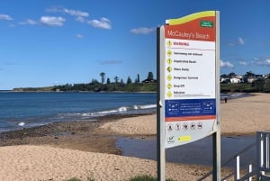 Sydney South Beaches - wycieczka rowerowa z przewodnikiem