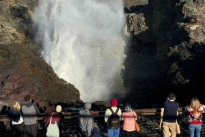 Sydney South Beaches - wycieczka rowerowa z przewodnikiem