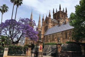 Halvdagstur for en liten gruppe: Historien om Sydney