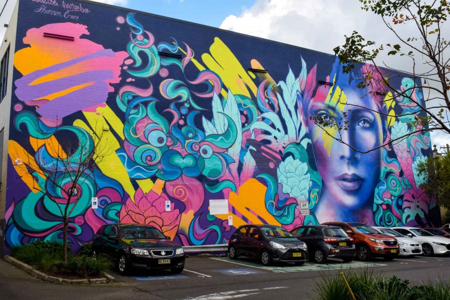 Sydney: Street Art and Multicultural Food Walking Tour