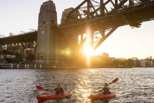 Sydney: Auringonnousu kajakilla, oopperatalo & Harbour Bridge alla