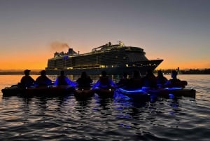 Sydney: Amanecer en Kayak, Ópera y Bajo el Puente del Puerto