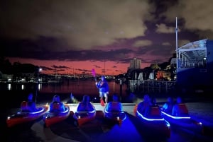 Sydney: Sunrise Kayak Tour on Sydney Harbour