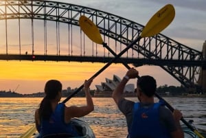 Tour in kayak all'alba nel porto di Sydney