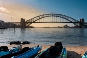 Tour in kayak all'alba nel porto di Sydney