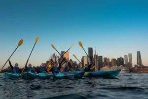 Tour in kayak all'alba nel porto di Sydney