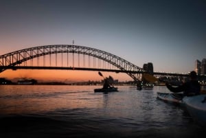 Tour in kayak all'alba nel porto di Sydney