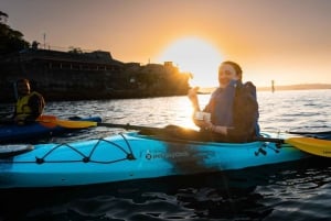 Tour in kayak all'alba nel porto di Sydney