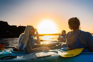 Tour in kayak all'alba nel porto di Sydney