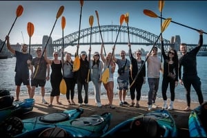 Tour in kayak all'alba nel porto di Sydney