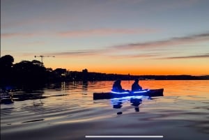 Sydney: tour in kayak all'alba del porto