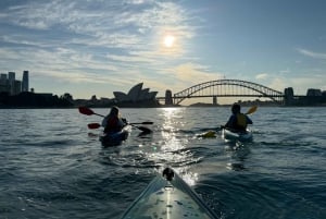 Sydney: tour in kayak all'alba del porto