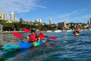 Sydney: tour in kayak all'alba del porto