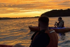 Sydney: Sunset Kayak Tour on Sydney Harbour