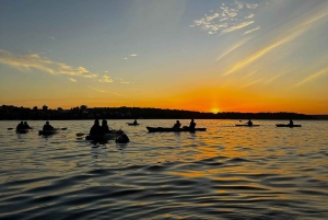 Sydney: Sunset Kayak Tour with Opera House Views