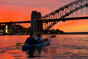 Sydney: Sunset Kayak Tour with Opera House Views