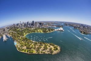 Sydney : Croisière touristique dans le port de Sydney