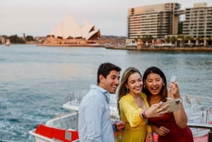 Sydney: Cocktailkryssning i Sydney Harbour & charkuteribord