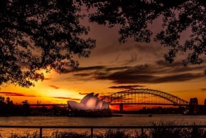 Sydney: tour fotografico notturno al tramonto di Sydney
