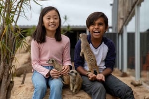 Sydney: Inträdesbiljett till Sydney Zoo