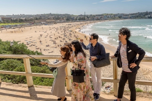 Sydney : les temps forts de Sydney et photographie professionnelle