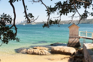 Sydney : les temps forts de Sydney et photographie professionnelle