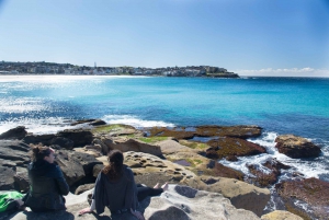 Sydney: Sydney's Highlights with Professional Photography