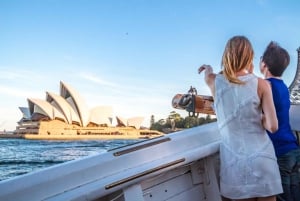 Sydney: crociera nel porto al tramonto in nave d'alto bordo con cena