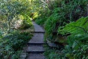 Sydney: Taronga to Balmoral Walk with picnic at Balmoral