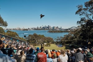 Sydney: Taronga Zoo & 1 or 2-Day Sydney Harbour Hopper Pass