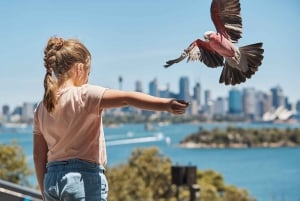 Sydney: Taronga Zoo Ticket with Return Ferry & Cable Car