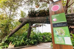 Entrébiljett för hel dag på Taronga Zoo