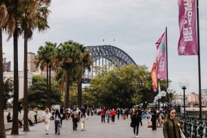 Sydney: The Rocks & Sydneyn satama – 1 tunnin opastettu kävelykierros
