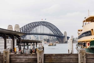 Sydney: tour a piedi guidato di The Rocks e del porto di Sydney