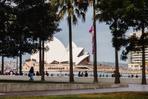 Sydney: tour a piedi guidato di The Rocks e del porto di Sydney