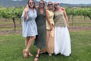 シドニー発ハンターバレーワインツアー | ジン、ランチ、ショコラティエ