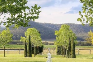 シドニー発ハンターバレーワインツアー | ジン、ランチ、ショコラティエ