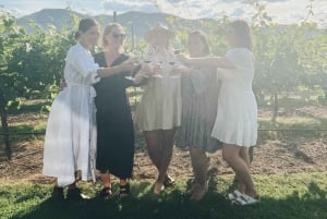 シドニー発ハンターバレーワインツアー | ジン、ランチ、ショコラティエ