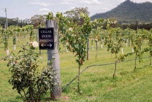シドニー発ハンターバレーワインツアー | ジン、ランチ、ショコラティエ