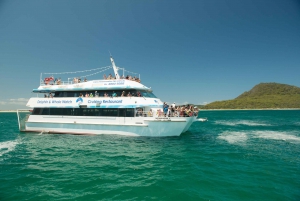 Sydney: Port Stephens Dolphin Cruise & Sandboarding Day Trip