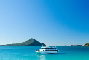 Sydney: Port Stephens Dolphin Cruise & Sandboarding Day Trip