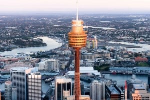 Sydney Tower Eye: Indgang med observationsdæk