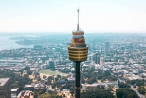 Sydney Tower Eye: Indgang med observationsdæk