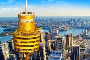 Sydney Tower Eye: Indgang med observationsdæk